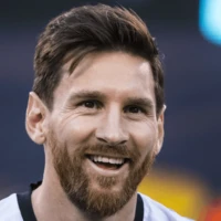Face swap template preview